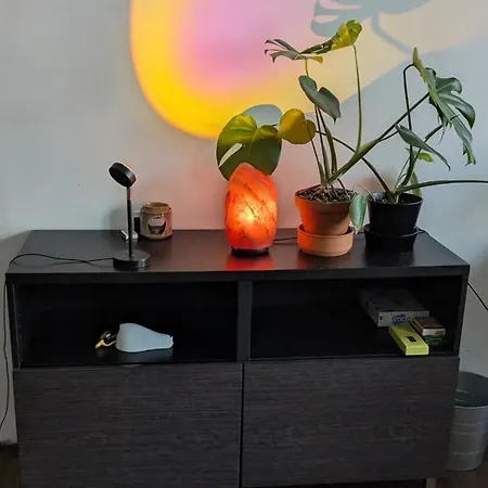 Urban Jungle Centre 公寓 弗罗茨瓦夫